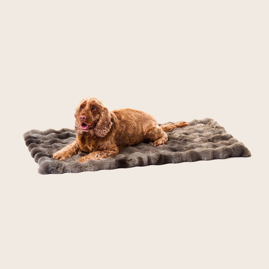Luxe Bubble Fur Dog Blanket
