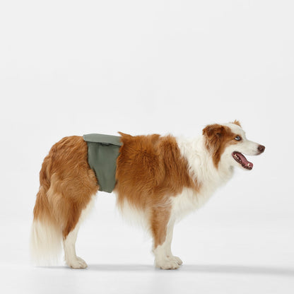 Washable Dog Nappy - Twin Pack for Female Dogs