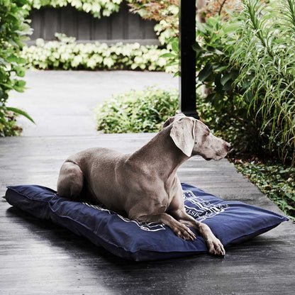 Organic Pet Futon Cover