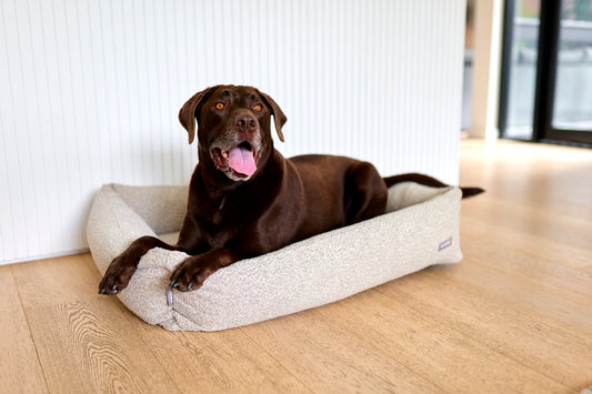 The Boucle Nest Dog Bed