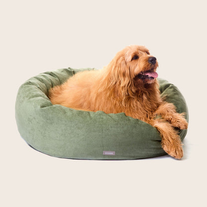 Springtime Cuddler Dog Bed