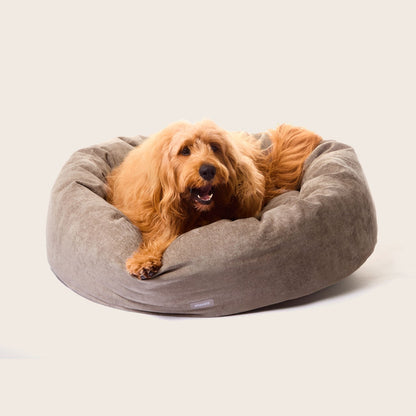 Springtime Cuddler Dog Bed