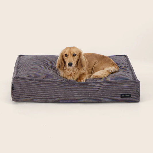 The Loft Dog Beds