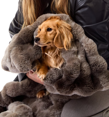Luxe Bubble Fur Dog Blanket